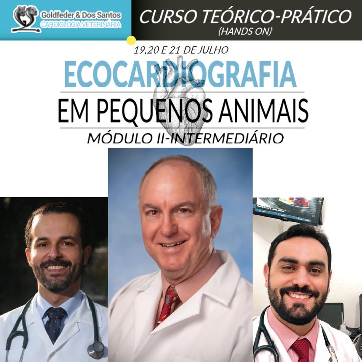 Curso Teórico-Prático (Hands-on) de Ecocardiografia em Pequenos Animais 2019