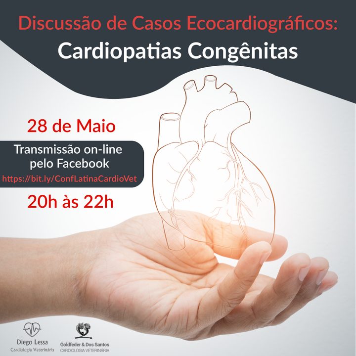 Discussão de Casos Ecocardiográficos 2020