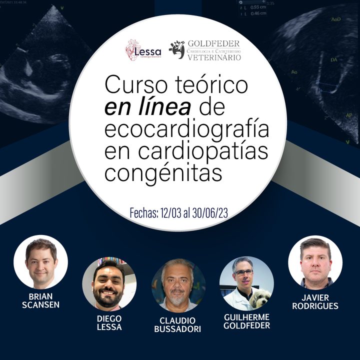 Curso teórico en línea de ecocardiografía en cardiopatías congénitas 2023