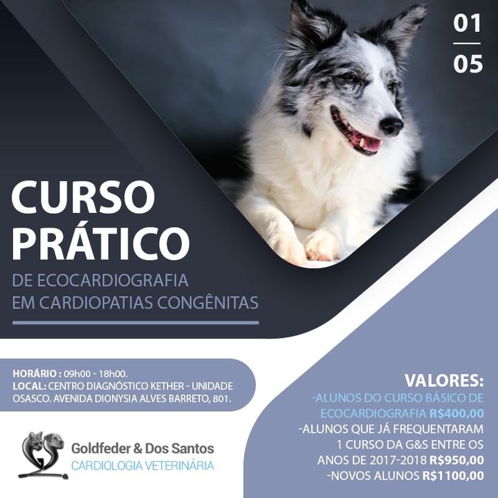 Curso Prático de Ecocardiografia em Cardiopatias Congênitas 2019