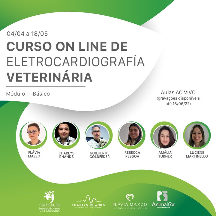 Curso On-line de Eletrocardiografia Veterinária 2022