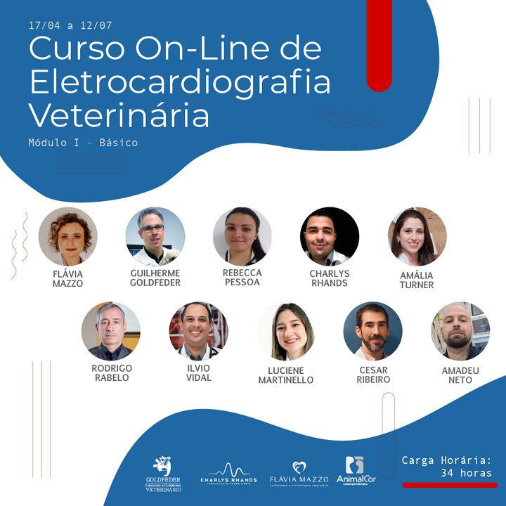 Curso On-line de Eletrocardiografia Veterinária 2023