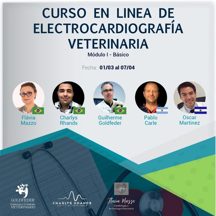 Curso en Línea de Electrocardiografía Veterinaria 2021