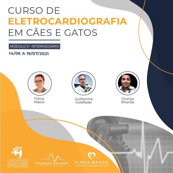 Curso de Eletrocardiografia em Cães e Gatos 2021