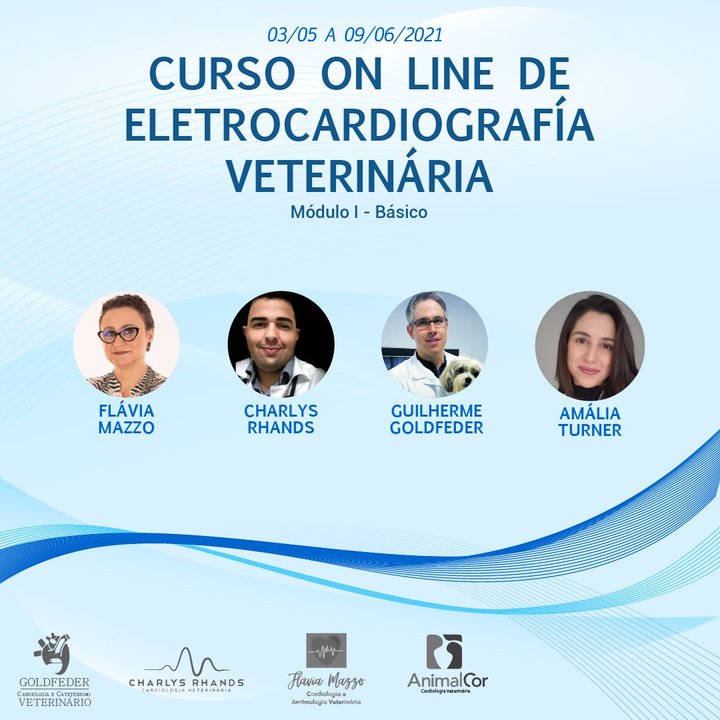 Curso On Line de Eletrocardiografia Veterinária 2021