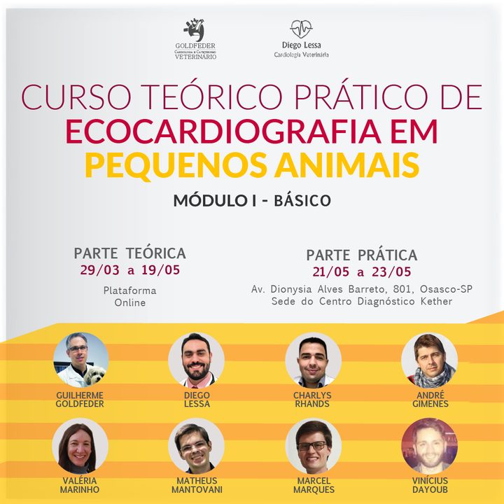 Curso Teórico-Prático de Ecocardiografia em Pequenos Animais 2021