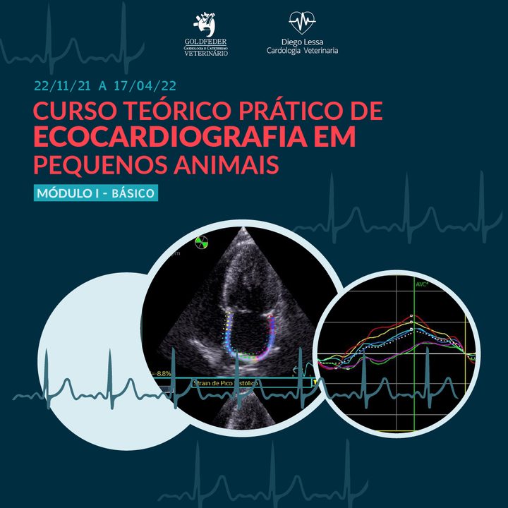 Curso Teórico-Prático de Ecocardiografia em Pequenos Animais 2022