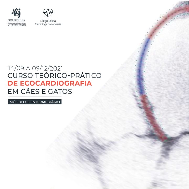 Curso Teórico-Prático de Ecocardiografia em Cães e Gatos 2021
