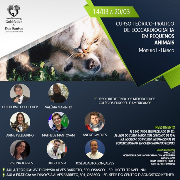 Curso Teórico-Prático de Ecocardiografia em Pequenos Animais 2019