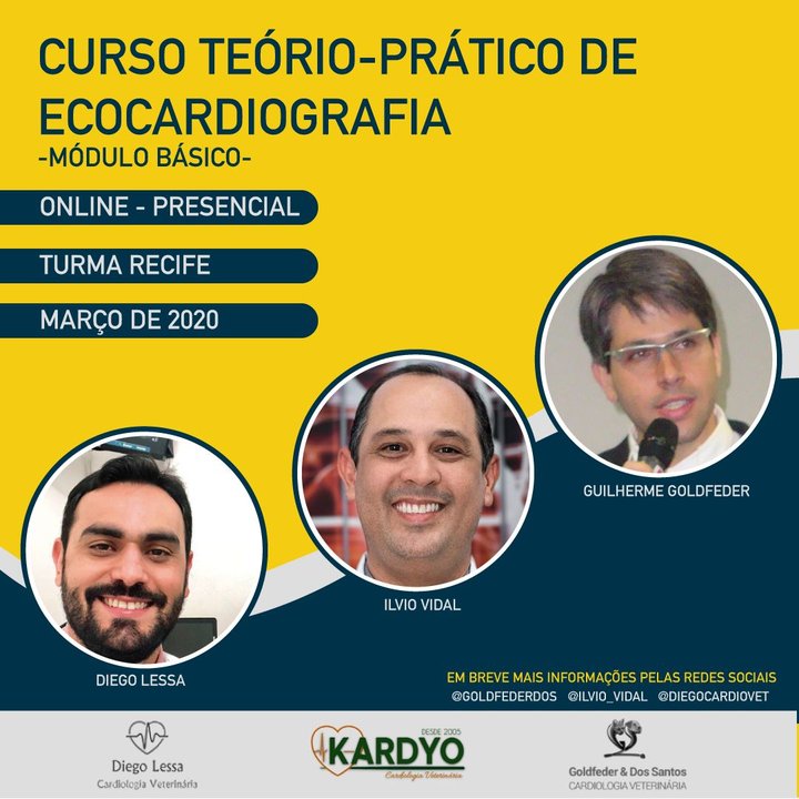 Curso Teórico-Prático de Ecocardiografia 2020