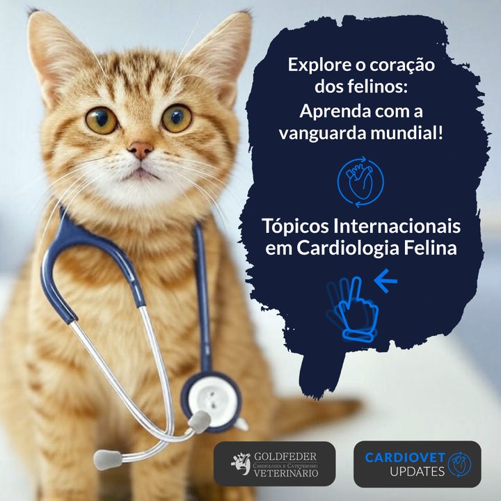 CardioVet Updates · Tópicos Internacionais em Cardiologia Felina 2025
