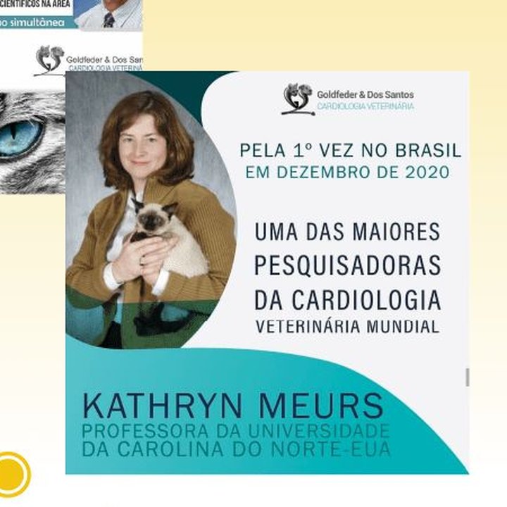 Kathryn Meurs pela primeira vez no Brasil 2020
