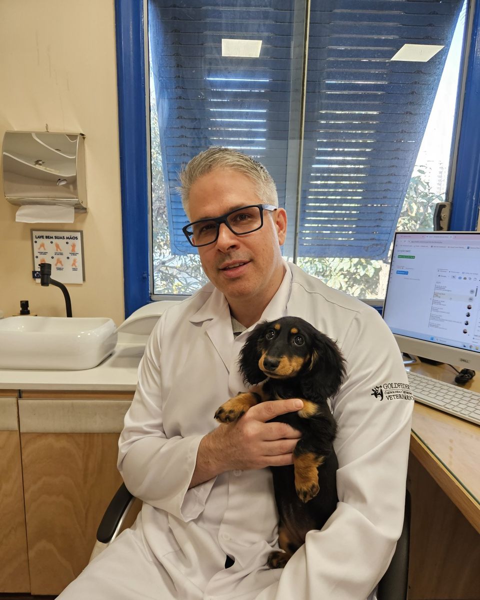 Dr. Guilherme Goldfeder de jaleco com um dachshund no colo, no consultório