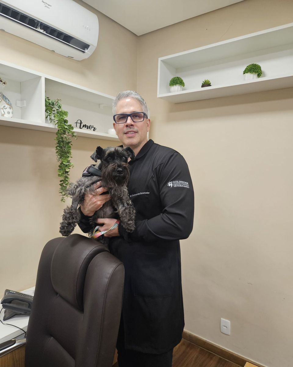 Dr. Guilherme Goldfeder com um schnauzer no consultório de cardiologia veterinária