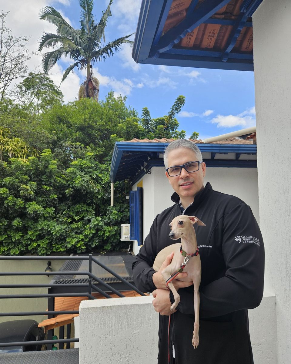 Dr. Guilherme Goldfeder segurando um whippet na entrada da clínica