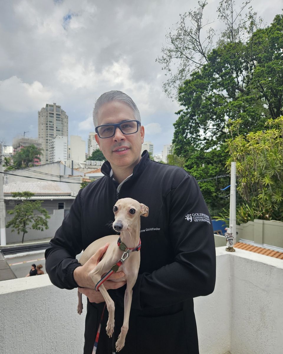 Dr. Guilherme Goldfeder com um whippet no terraço da clínica