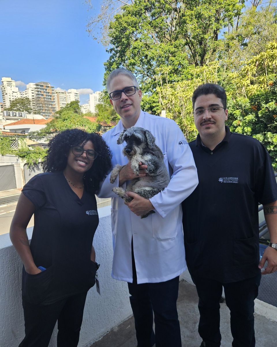 Equipe da Goldfeder Cardiologia Veterinária com um schnauzer paciente