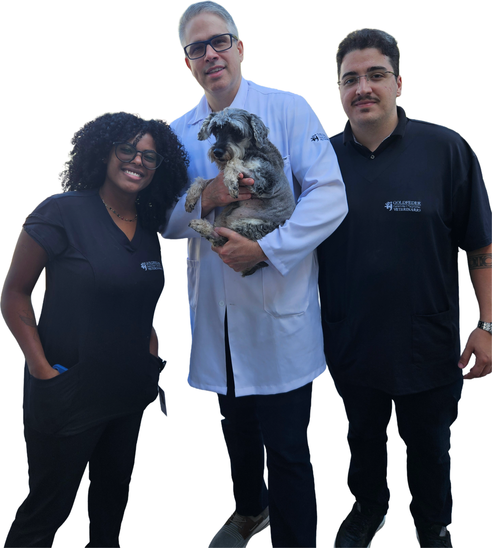 Equipe da Goldfeder Cardiologia Veterinária, com o Dr. Guilherme Goldfeder e um paciente no colo