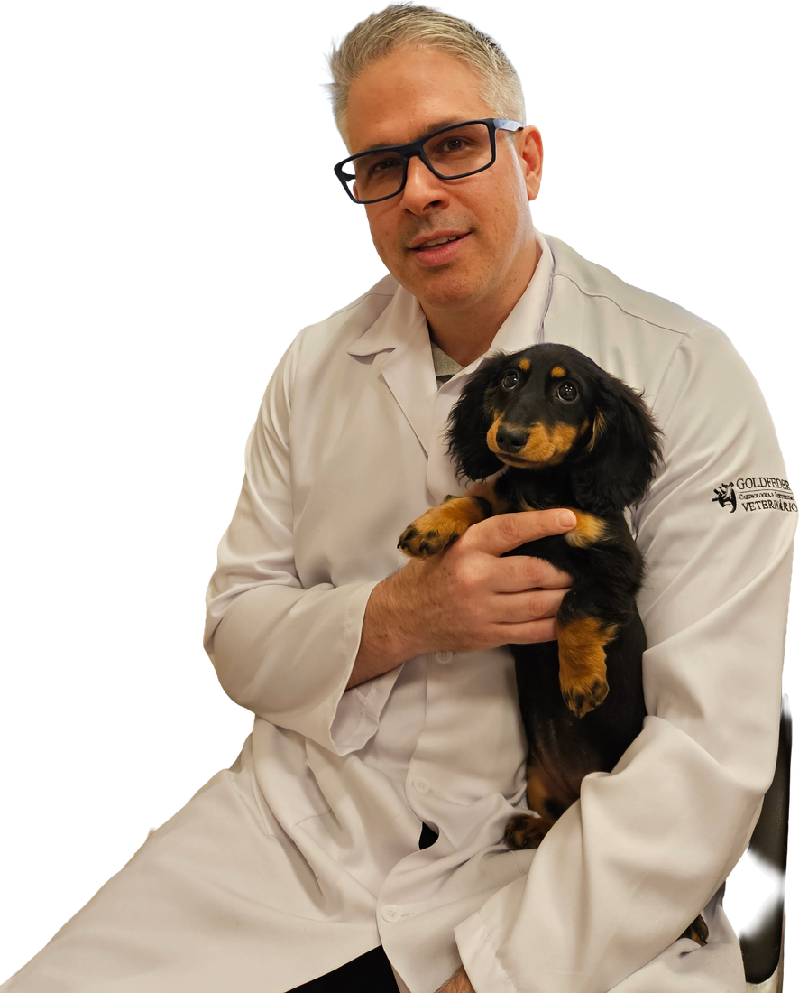 Dr. Guilherme Goldfeder