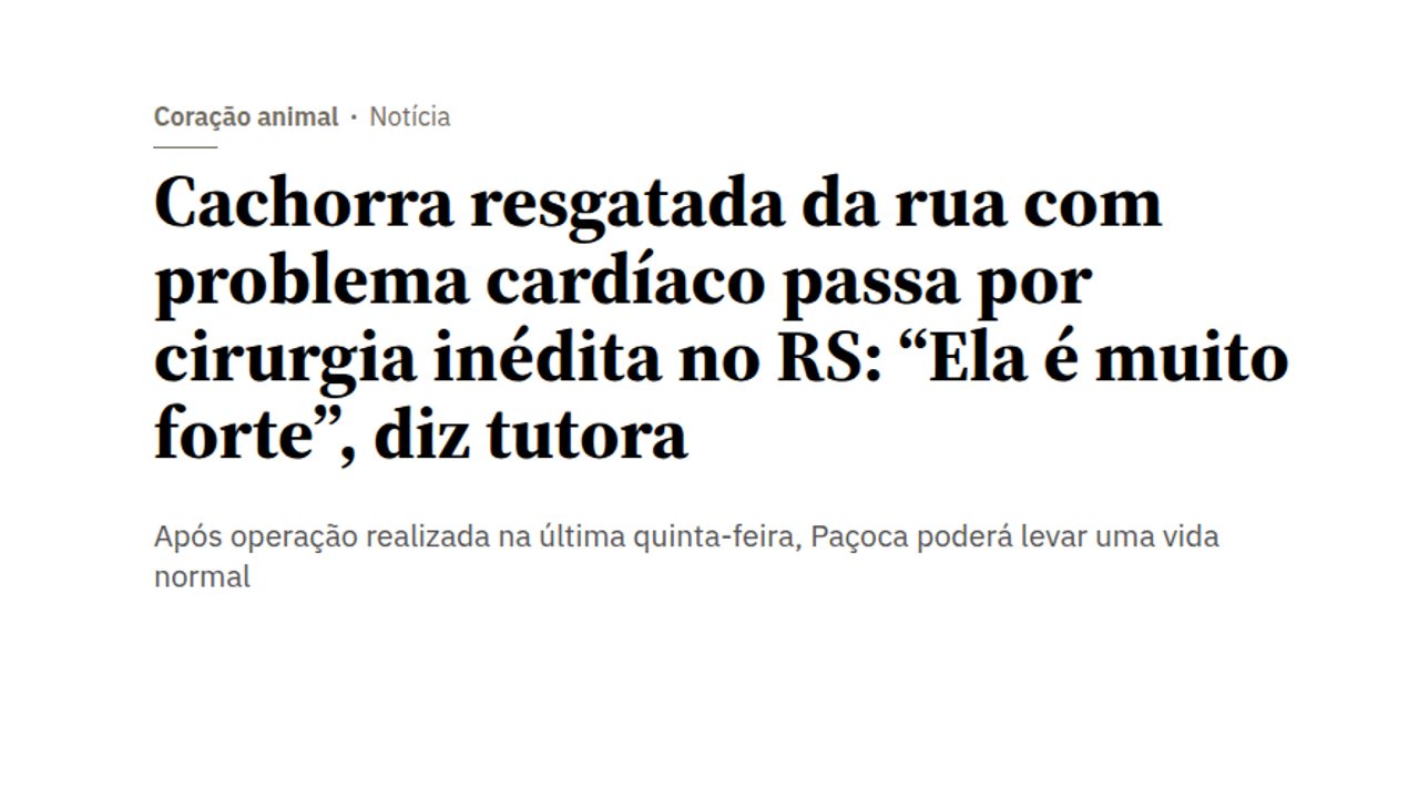 Matéria do Jornal Zero Hora (GZH): Cachorra resgatada da rua com problema cardíaco passa por cirurgia inédita no RS